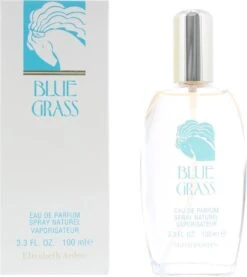 Elizabeth Arden Eau De Parfum Blue Grass 100 Ml - Voor Vrouwen -Parfum Winkel 1071x1200 1