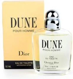 Dior Dune Pour Homme 100 Ml - Eau De Toilette - Herenparfum -Parfum Winkel 1106x1200