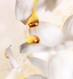 Dior J'adore 150 Ml - Eau De Parfum - Damesparfum -Parfum Winkel 1110x1200 6