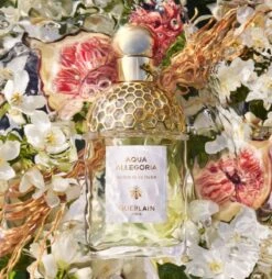 Guerlain Aqua Allegoria Nerolia Vetiver Eau De Toilette Spray 75 Ml 11 Guerlain Aqua Allegoria Nerolia Vetiver Eau De Toilette Spray 75 Ml -Parfum Winkel 1165x1200