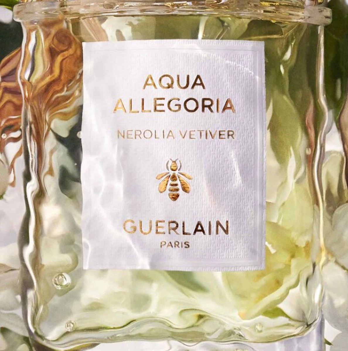 Guerlain Aqua Allegoria Nerolia Vetiver Eau De Toilette Spray 75 Ml 8 Guerlain Aqua Allegoria Nerolia Vetiver Eau De Toilette Spray 75 Ml - Afbeelding 6