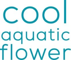 Mexx Ice Touch Woman Bodysplash 250 Ml - Bodymist -Parfum Winkel 1200x1025