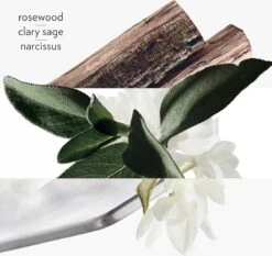 Hermes H24 Eau De Toilette Spray 50 Ml -Parfum Winkel 1200x1133