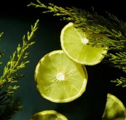 RITUALS Life Is A Journey - Homme Car Perfume - 6 Ml -Parfum Winkel 1200x1136 4