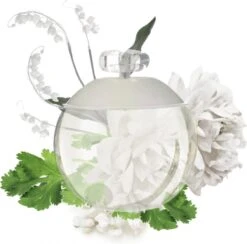 Noa Cacharel 30 Ml - Eau De Toilette - Damesparfum -Parfum Winkel 1200x1184