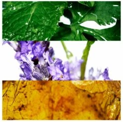 Davidoff Cool Water 75 Ml - Eau De Toilette - Herenparfum -Parfum Winkel 1200x1186 3