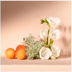 Chloé Chloé Nomade 30 Ml - Eau De Parfum - Damesparfum 10 Chloé Chloé Nomade 30 Ml - Eau De Parfum - Damesparfum -Parfum Winkel 1200x1198 3