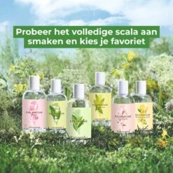 Yves Rocher - LA COLLECTION Kamperfoelie Eau De Toilette - Eau Fraîche - Damesparfum - 100 Ml -Parfum Winkel 1200x1200 137