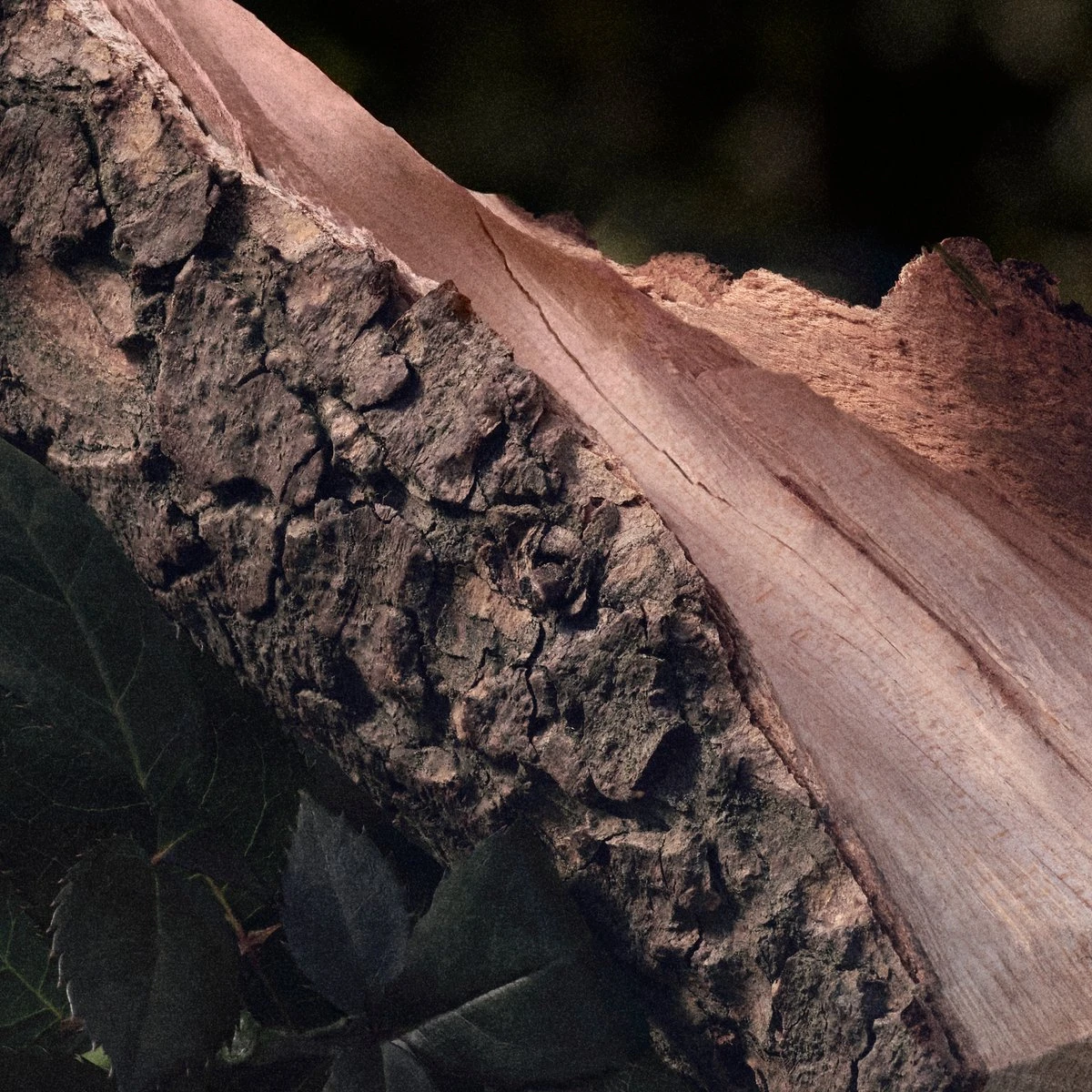 Chloé Chloé Naturelle Eau De Parfum - 30 Ml 12 Chloé Chloé Naturelle Eau De Parfum - 30 Ml - Afbeelding 10