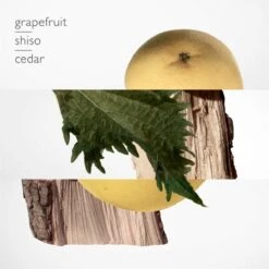 Hermès Terre D'Hermès 75 Ml - Eau De Parfum - Herenparfum 19 Hermès Terre D'Hermès 75 Ml - Eau De Parfum - Herenparfum -Parfum Winkel 1200x1200 319