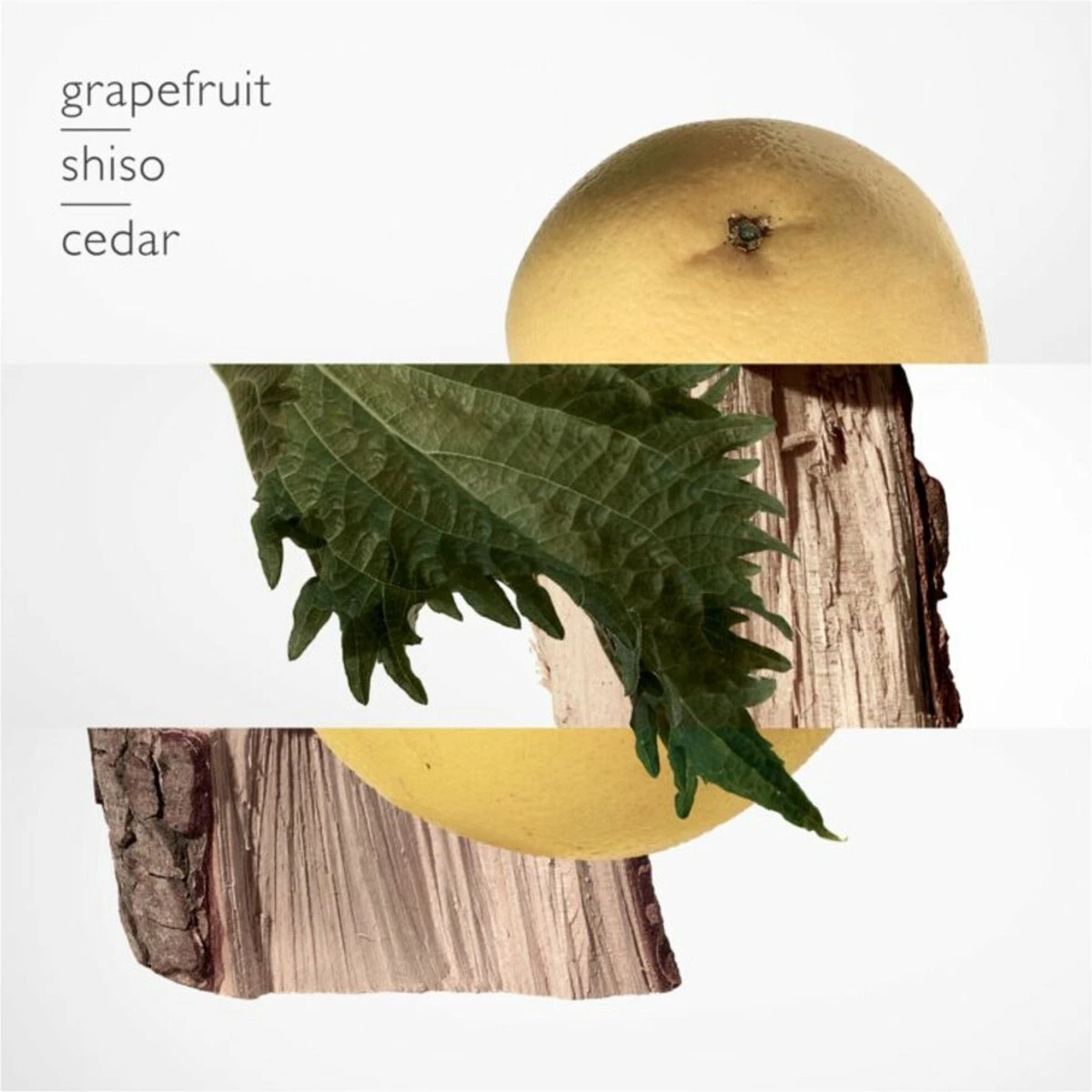 Hermès Terre D'Hermès 75 Ml - Eau De Parfum - Herenparfum 6 Hermès Terre D'Hermès 75 Ml - Eau De Parfum - Herenparfum - Afbeelding 4