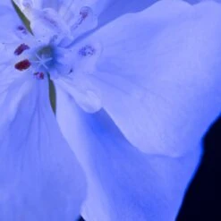 Yves Saint Laurent - Eau De Parfum - Y Le Parfum - 100 Ml -Parfum Winkel 1200x1200 331