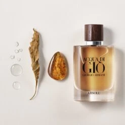 Giorgio Armani Acqua Di Gio Absolu 75ml - Eau De Parfum - Herenparfum 34 Giorgio Armani Acqua Di Gio Absolu 75ml - Eau De Parfum - Herenparfum -Parfum Winkel 1200x1200 334