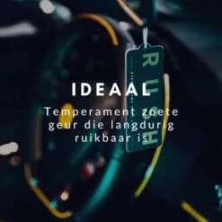 RUSH Autoparfum Sweet Sense - Auto Geurverfrisser - Parfum Voor Dames En Heren -Parfum Winkel 1200x1200 422