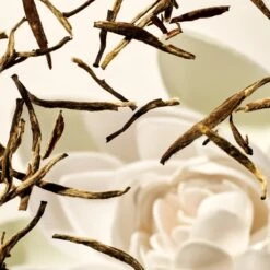 RITUALS Life Is A Journey - Karma Car Perfume - 6 G -Parfum Winkel 1200x1200 430