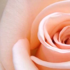 Spider-Man Eau De Toilette Spray - 100 Ml - Parfum Voor Kinderen -Parfum Winkel 1200x1200 565