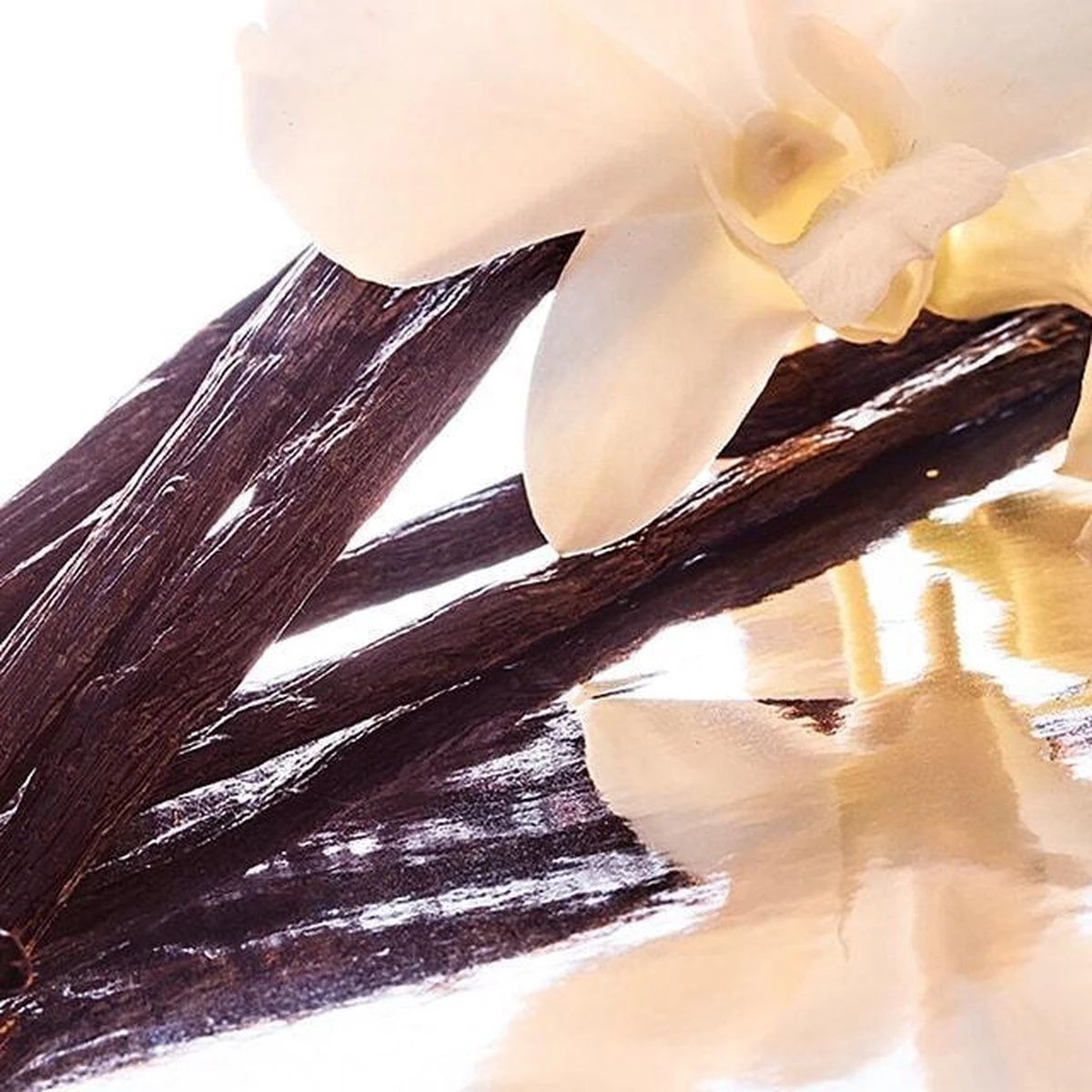 Guerlain Shalimar Philtre De Parfum Eau De Parfum 90ml 4 Guerlain Shalimar Philtre De Parfum Eau De Parfum 90ml - Afbeelding 2