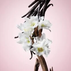 Viktor & Rolf Flowerbomb 50 Ml - Eau De Parfum - Damesparfum 34 Viktor & Rolf Flowerbomb 50 Ml - Eau De Parfum - Damesparfum -Parfum Winkel 1200x1200 75