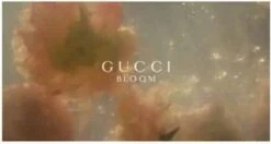 Gucci Bloom 100 Ml - Eau De Parfum - Damesparfum -Parfum Winkel 1200x641