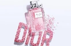 Dior Miss Dior Rose N'Roses 100 Ml - Eau De Toilette - Damesparfum -Parfum Winkel 1200x775