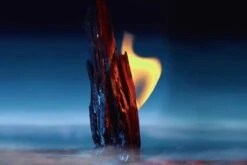 Dior Sauvage Parfum Pure Parfum 200ml -Parfum Winkel 1200x800 10