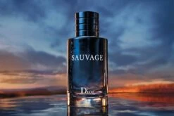 Dior Sauvage 100 Ml - Eau De Toilette - Herenparfum 7 Dior Sauvage 100 Ml - Eau De Toilette - Herenparfum -Parfum Winkel 1200x800 18