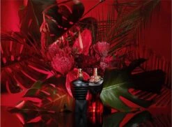 Jean Paul Gaultier - La Belle Le Parfum Eau De Parfum Intense - 100 Ml 30 Jean Paul Gaultier - La Belle Le Parfum Eau De Parfum Intense - 100 Ml -Parfum Winkel 1200x883 4