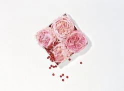 Lancôme Miracle 50 Ml - Eau De Parfum - Damesparfum -Parfum Winkel 1200x886