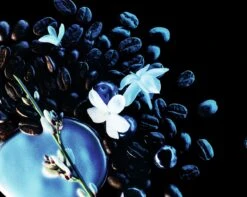 Yves Saint Laurent Black Opium Intense 50 Ml - Eau De Parfum - Damesparfum -Parfum Winkel 1200x955 1