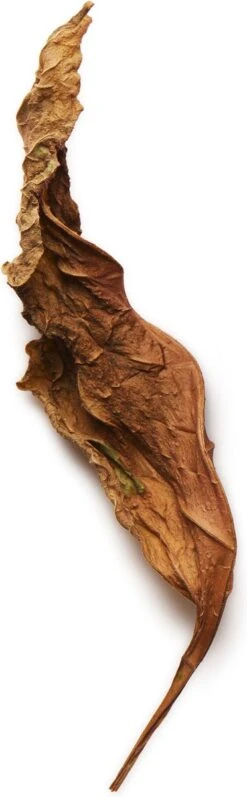 Giorgio Armani Acqua Di Gio Absolu 75ml - Eau De Parfum - Herenparfum 32 Giorgio Armani Acqua Di Gio Absolu 75ml - Eau De Parfum - Herenparfum -Parfum Winkel 372x1200 3