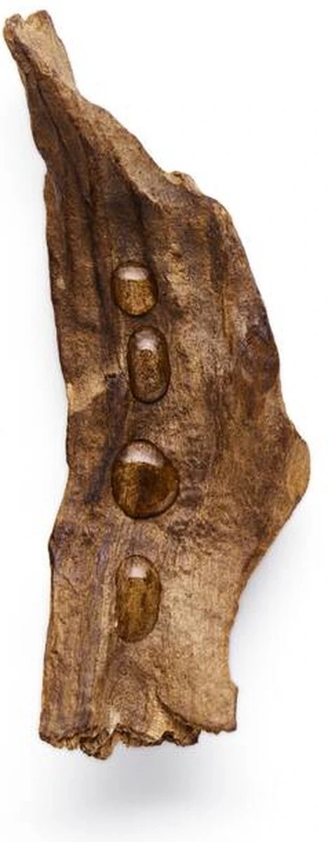 Giorgio Armani Sì Intense 100 Ml - Eau De Parfum - Damesparfum 17 Giorgio Armani Sì Intense 100 Ml - Eau De Parfum - Damesparfum - Afbeelding 15