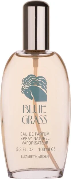 Elizabeth Arden Eau De Parfum Blue Grass 100 Ml - Voor Vrouwen