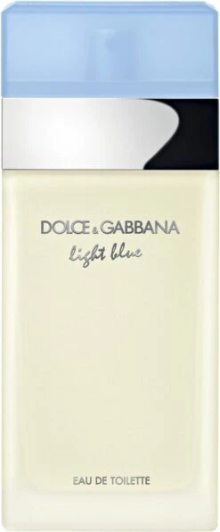 Dolce & Gabbana Light Blue 100 Ml - Eau De Toilette - Damesparfum -Parfum Winkel 497x1200 1