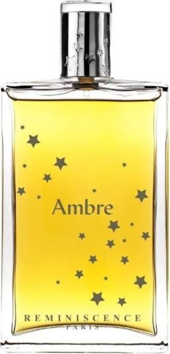 Reminiscence Ambre - 100 Ml - Eau De Toilette -Parfum Winkel 577x1200 4