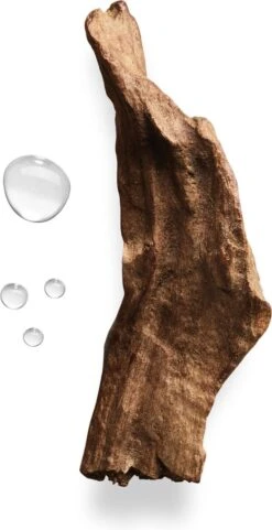 Giorgio Armani Acqua Di Gio Absolu 75ml - Eau De Parfum - Herenparfum 36 Giorgio Armani Acqua Di Gio Absolu 75ml - Eau De Parfum - Herenparfum -Parfum Winkel 616x1200 2