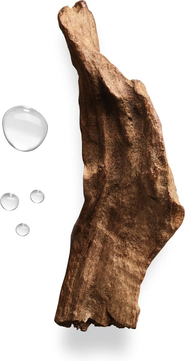 Giorgio Armani Acqua Di Gio Absolu 75ml - Eau De Parfum - Herenparfum 17 Giorgio Armani Acqua Di Gio Absolu 75ml - Eau De Parfum - Herenparfum - Afbeelding 15