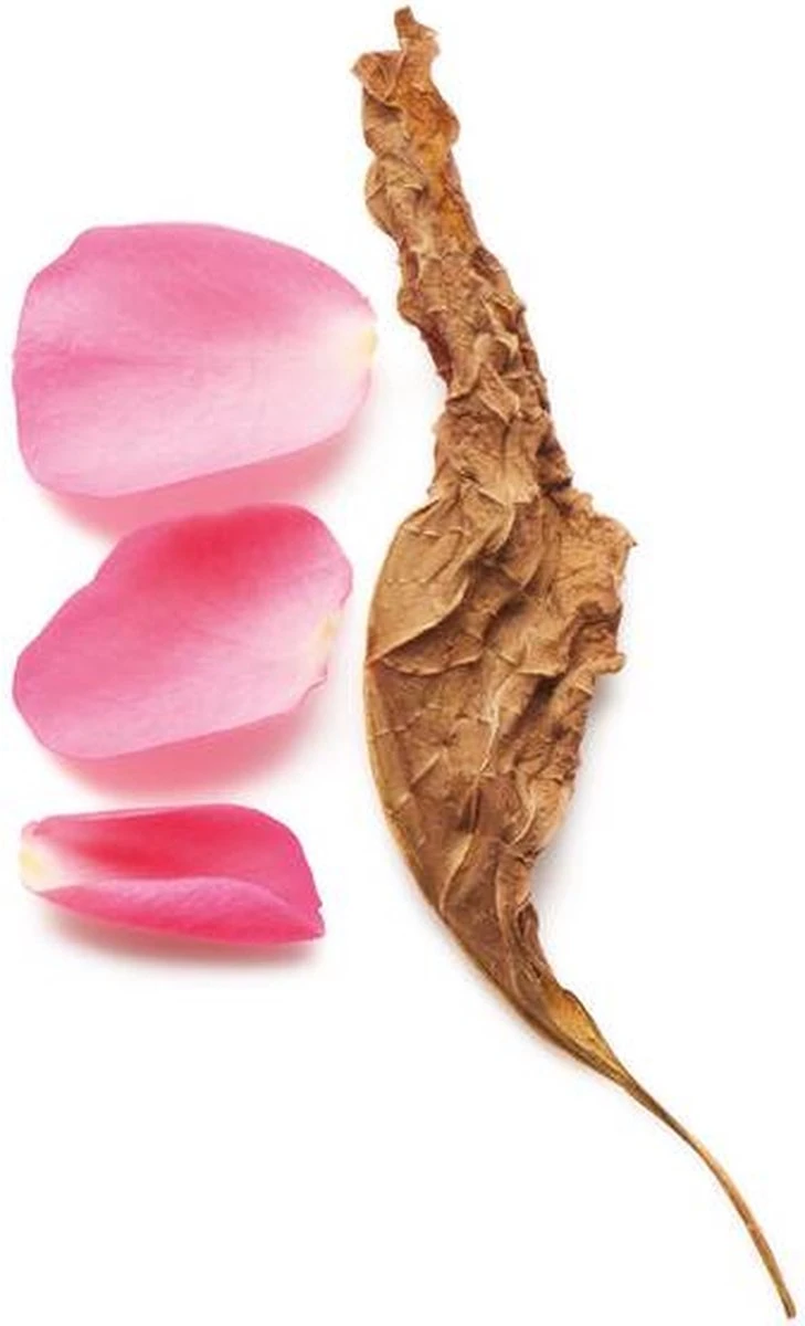 Giorgio Armani Sì Intense 100 Ml - Eau De Parfum - Damesparfum 10 Giorgio Armani Sì Intense 100 Ml - Eau De Parfum - Damesparfum - Afbeelding 8