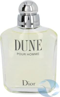 Dior Dune Pour Homme 100 Ml - Eau De Toilette - Herenparfum -Parfum Winkel 742x1200
