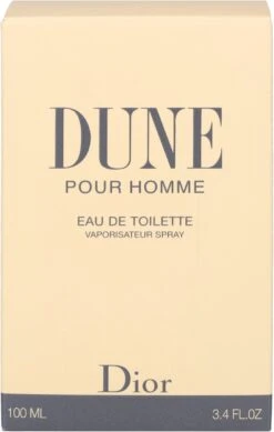 Dior Dune Pour Homme 100 Ml - Eau De Toilette - Herenparfum -Parfum Winkel 761x1200 1