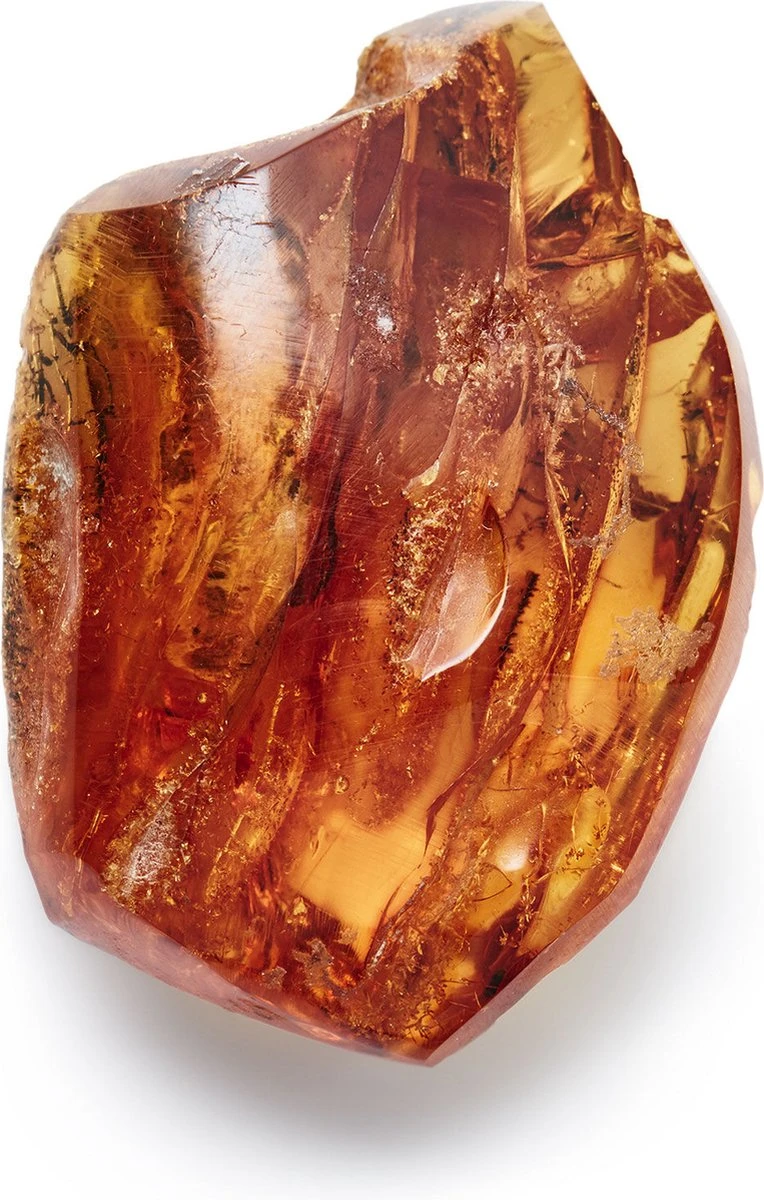 Giorgio Armani Acqua Di Gio Absolu 75ml - Eau De Parfum - Herenparfum 14 Giorgio Armani Acqua Di Gio Absolu 75ml - Eau De Parfum - Herenparfum - Afbeelding 12