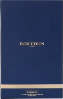 Boucheron Pour Femme 100 Ml - Eau De Parfum - Damesparfum -Parfum Winkel 767x1200