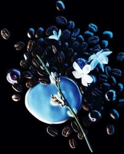 Yves Saint Laurent Black Opium Intense 50 Ml - Eau De Parfum - Damesparfum -Parfum Winkel 966x1200 1