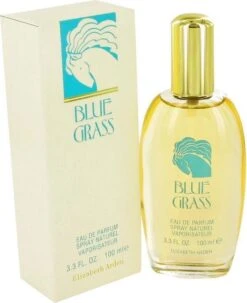 Elizabeth Arden Eau De Parfum Blue Grass 100 Ml - Voor Vrouwen -Parfum Winkel 977x1200 1